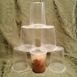 Fruit Fly Culturing Kit
