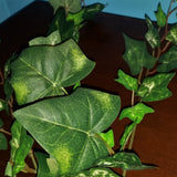 Silk Plant - Ivy Branch