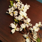 Silk Plant - White Flower