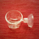 Glass Feeding Dish - Suction Cup