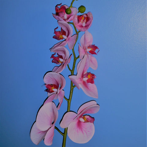 Silk Plant - Pink Orchid Flower